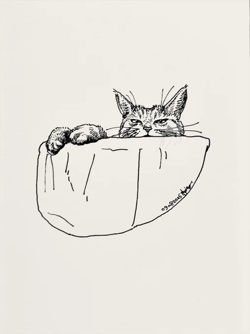 じぶんちの猫