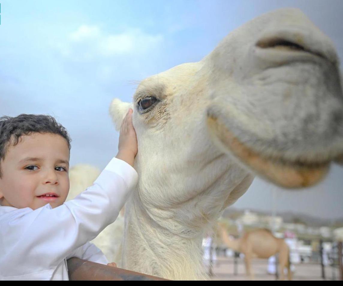 عبدالله الجالي tweet media