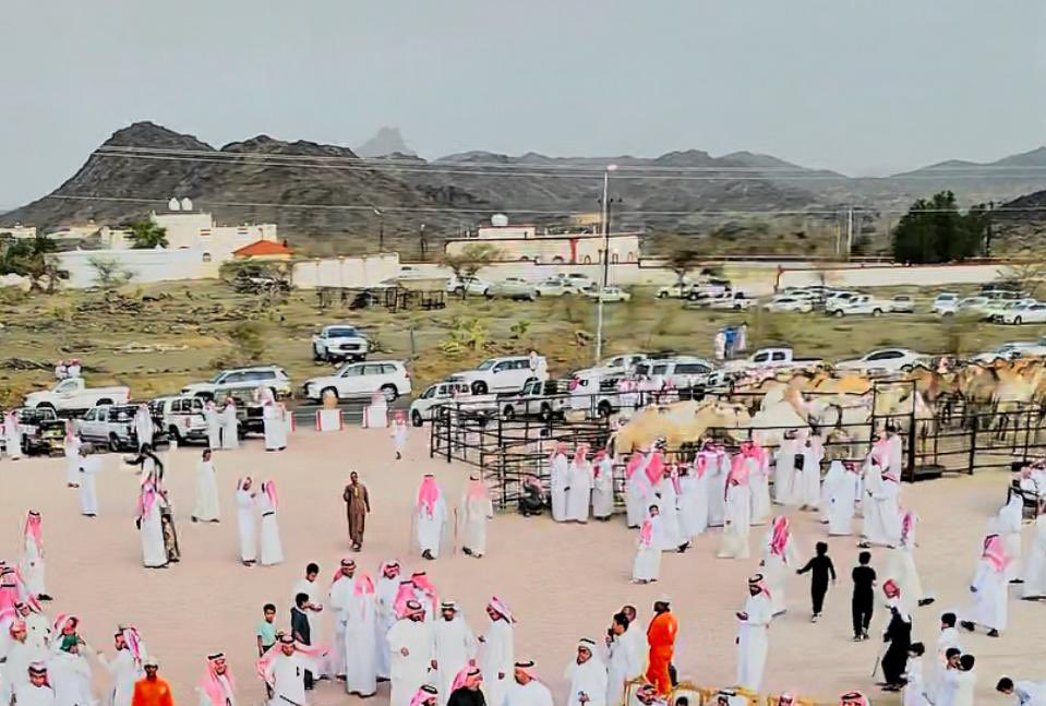 عبدالله الجالي tweet media