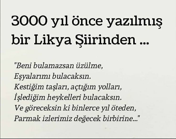 Raskolnikov (@raskolnikovsair) on Twitter photo 