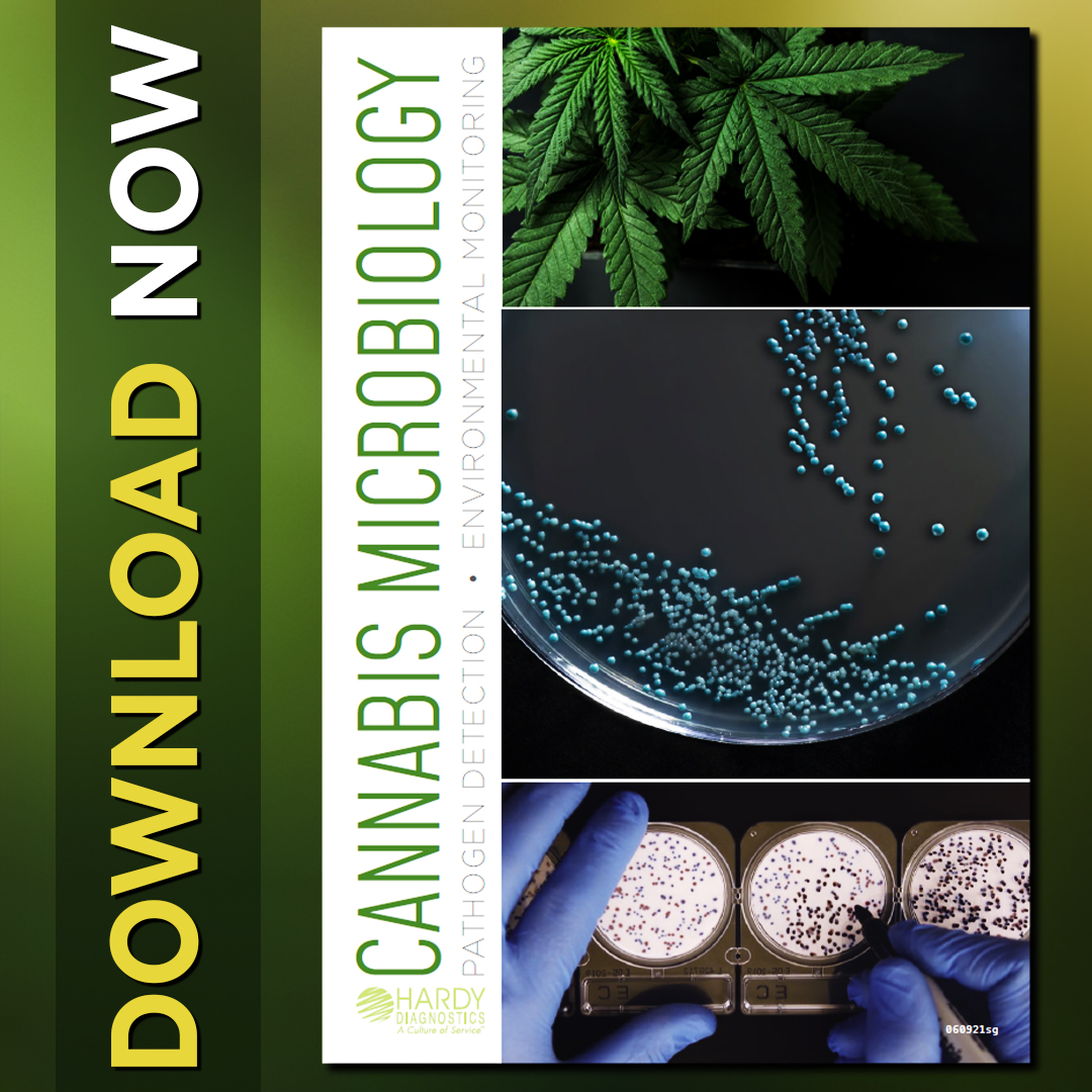 HardyDiagnostic's tweet image. 🌿 It’s #NationalCBDDay! Hardy Diagnostics proudly supports CBD producers &amp;amp; labs with tools to ensure CBD safety, purity &amp;amp; consistency. 🧫🔬

Explore our testing solutions &amp;amp; download our full catalog:
📥 bit.ly/4drczxA

#CBDTesting #QualityMatters