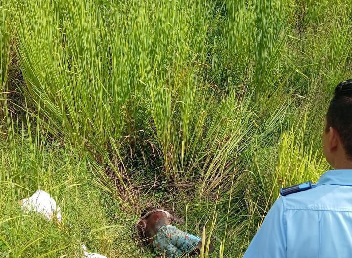 #Aragua | Jonathan Blanco (31) fue hallado muerto por heridas de arma de fuego en una zona boscosa de Santa Rita, municipio Linares Alcántara. #CICPC Homicidio realizó levantamiento del cadáver para la autopsia de ley. Se maneja el móvil: ajuste de cuentas.