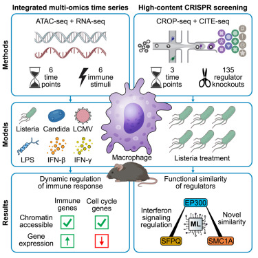 Waggoner Lab (@labwaggoner) on Twitter photo Integrated time-series analysis and high-content CRISPR screening delineate the dynamics of macrophage immune regulation <a href="/CellSystemsCP/">Cell Systems</a>
cell.com/cell-systems/f⦠<a href="/BockLab/">Christoph Bock Lab @ CeMM & MedUni Vienna</a> <a href="/p_traxler/">Peter Traxler</a> Integrated time-series analysis and high-content CRISPR screening delineate the dynamics of macrophage immune regulation <a href="/CellSystemsCP/">Cell Systems</a>
cell.com/cell-systems/f⦠<a href="/BockLab/">Christoph Bock Lab @ CeMM & MedUni Vienna</a> <a href="/p_traxler/">Peter Traxler</a>