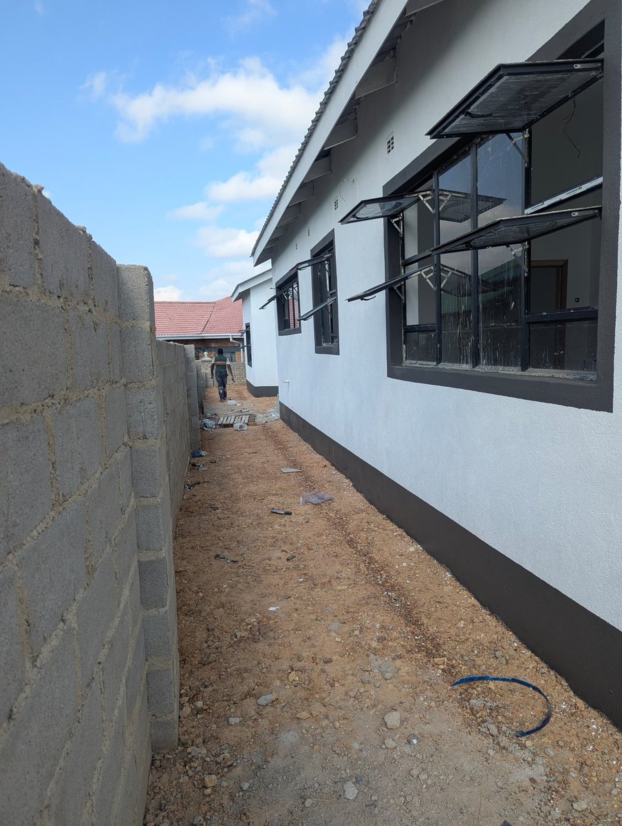 Queen Lily🇮🇪🇿🇼 tweet media