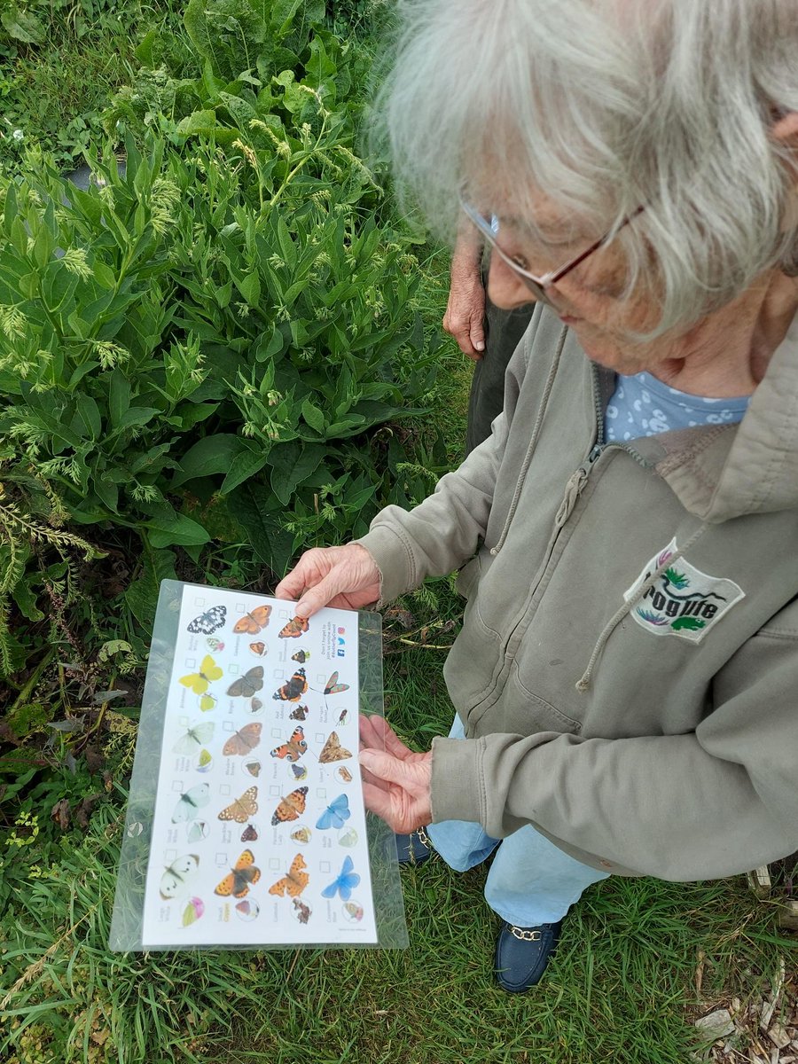Froglife (@froglifers) on Twitter photo Our Somerset groups for people living with dementia had a brilliant time taking part in <a href="/savebutterflies/">Butterfly Conservation 🦋</a> Big Butterfly Count!
From spotting butterflies to connecting with nature, it was a joyful, enriching experience for all involved. Our Somerset groups for people living with dementia had a brilliant time taking part in <a href="/savebutterflies/">Butterfly Conservation 🦋</a> Big Butterfly Count!
From spotting butterflies to connecting with nature, it was a joyful, enriching experience for all involved.