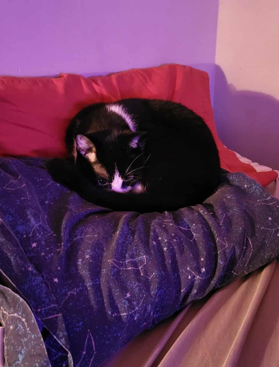 ime the litle ball boy
