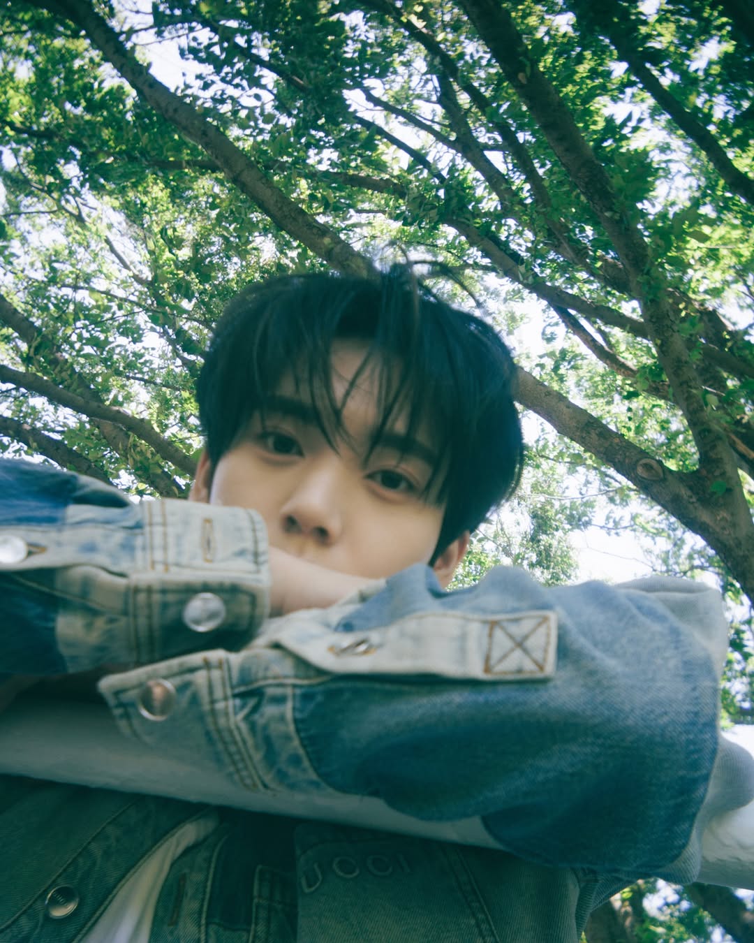 ph-1 album セット ZEROBASEONE THE 1ST FULL ALBUM ❝𝙉𝙀𝙑𝙀𝙍 𝙎𝘼𝙔