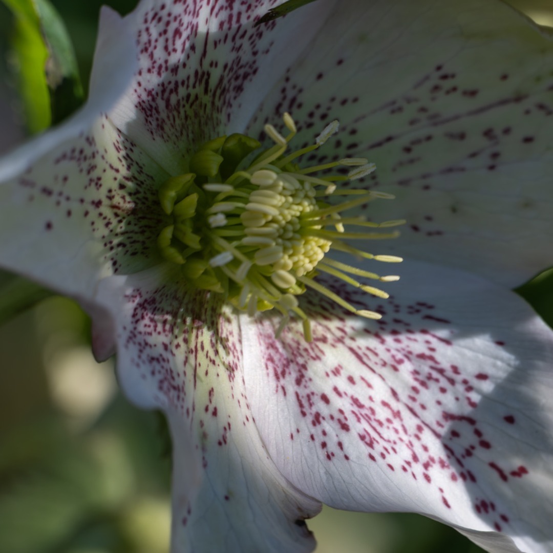 PilsdonComm's tweet image. Summer Newsletter - mailchi.mp/9bdc157bc6dd/h…