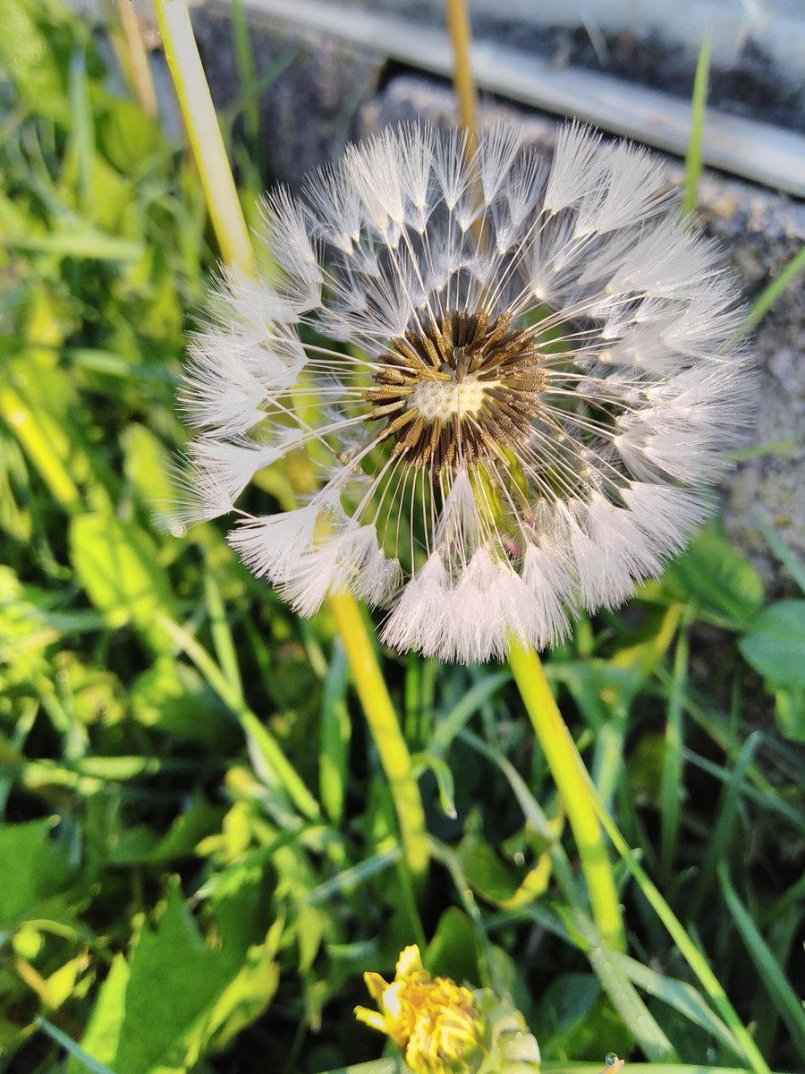 PilsdonComm's tweet image. Summer Newsletter - mailchi.mp/9bdc157bc6dd/h…