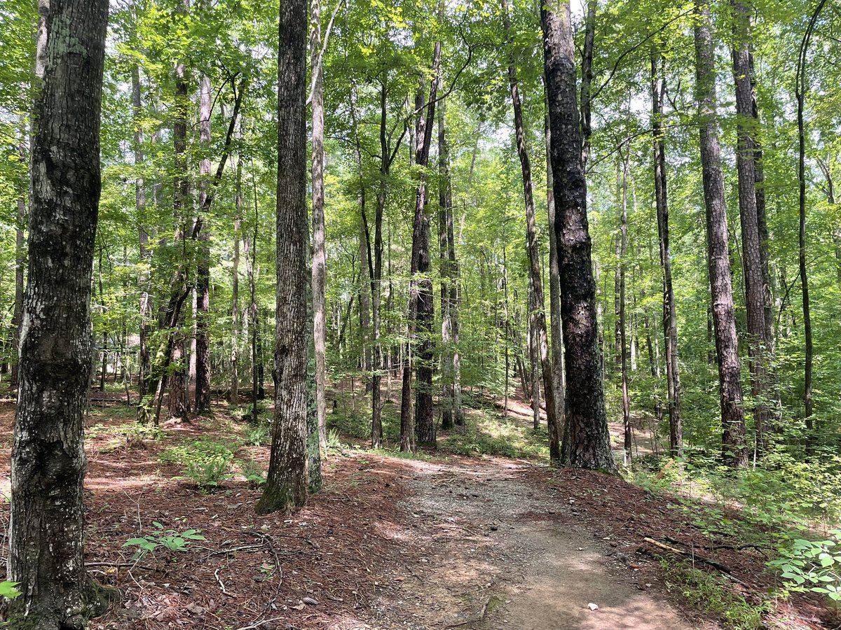 Lovely walk at Umstead State Park in <a href="/RaleighGov/">City of Raleigh</a> today! Still a little soggy from the week’s rain, but still pretty.