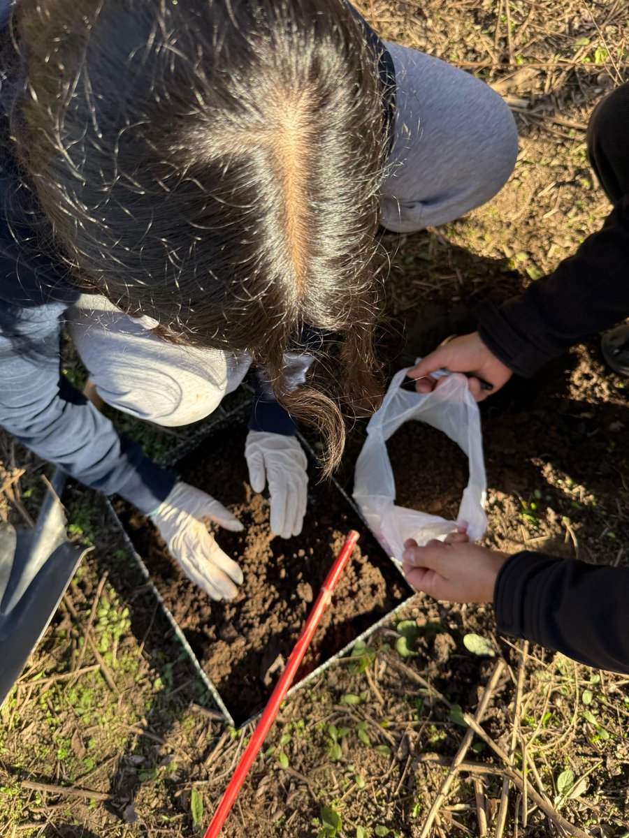 Durante tres días, alumnas del Instituto Técnico Adrián P. Urquía exploraron ecosistemas, midieron variables ambientales y descubrieron de cerca el trabajo científico en la Facultad
exa.unrc.edu.ar/estudiantes-de…