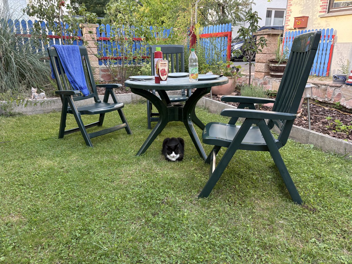 Endlich wieder Grill- und Poolwetter