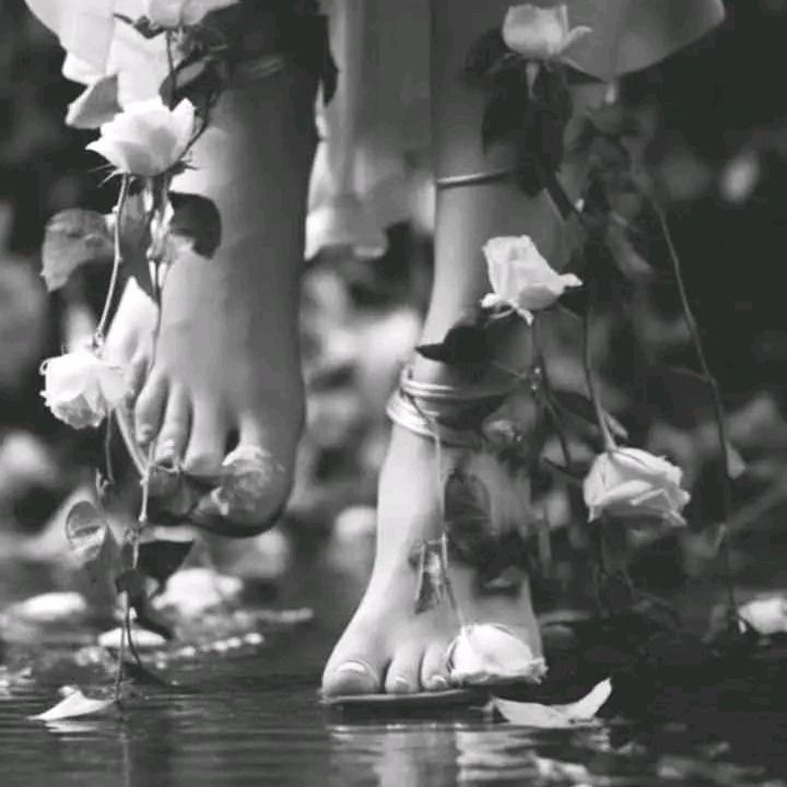 Lady Cobalt Eyes (@ladycobalteyes) on Twitter photo #aigabell
#lullaby
#poetry
#FireWriters35
<a href="/FireWriters35/">FireWriters35</a>
A trail marked
With white roses
An unexpected return
To closeness
White roses
And my heart
Still alive ... #aigabell
#lullaby
#poetry
#FireWriters35
<a href="/FireWriters35/">FireWriters35</a>
A trail marked
With white roses
An unexpected return
To closeness
White roses
And my heart
Still alive ...