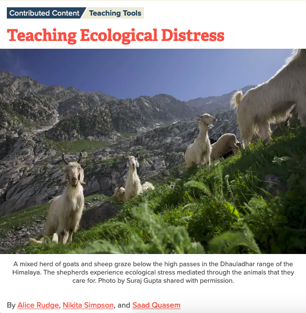 Society for Cultural Anthropology tweet media