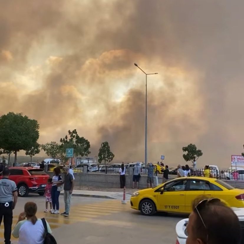 AKALNBURAK's tweet image. Durum çok kötü çok...
Ülkemin her yeri yandığı gibi yanmaya da devam ediyor.
Ağaçlarımız yanıyor geleceğimizi birer bitiyor...
hayvanlar feci şekilde can veriyor oksijen alacak ağaç bile kalmayacak 
#canakkaleyanıyor
#helpturkey