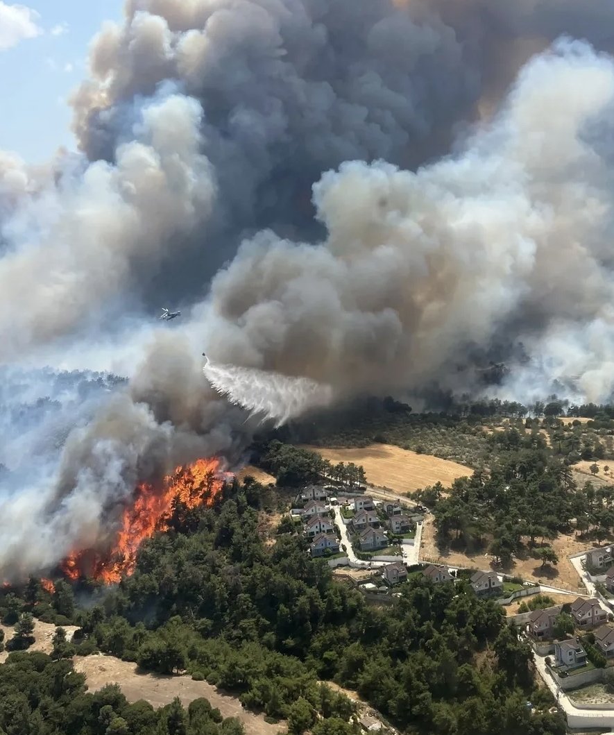 AKALNBURAK's tweet image. Durum çok kötü çok...
Ülkemin her yeri yandığı gibi yanmaya da devam ediyor.
Ağaçlarımız yanıyor geleceğimizi birer bitiyor...
hayvanlar feci şekilde can veriyor oksijen alacak ağaç bile kalmayacak 
#canakkaleyanıyor
#helpturkey