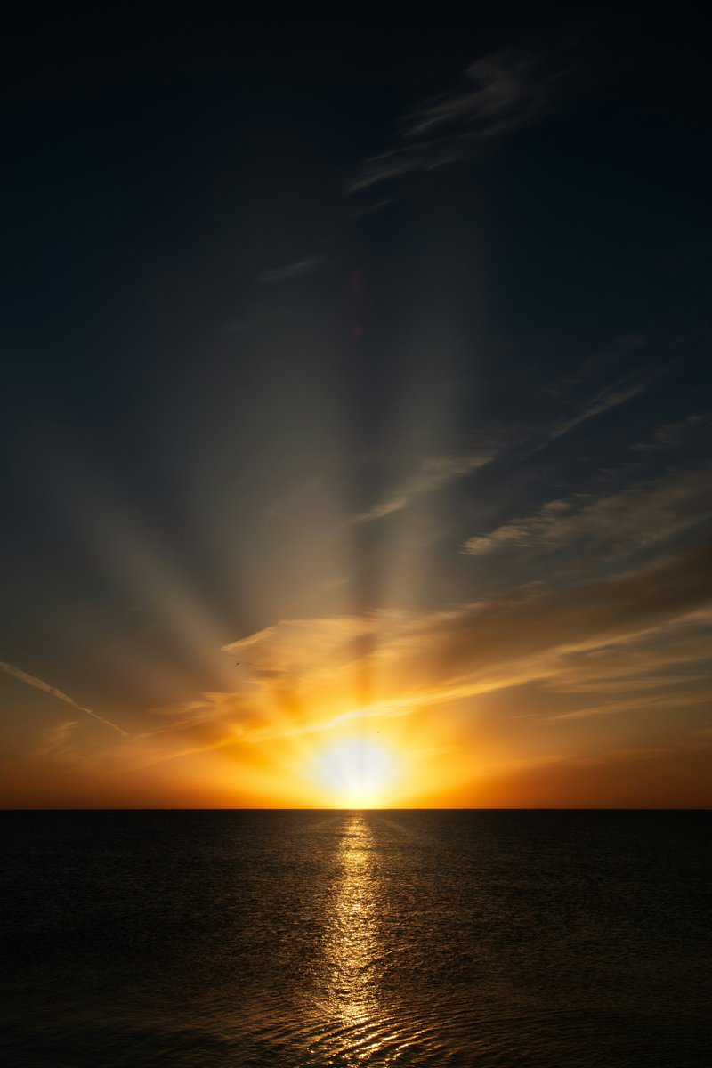 earthcurated's tweet image. — new beginning ✨