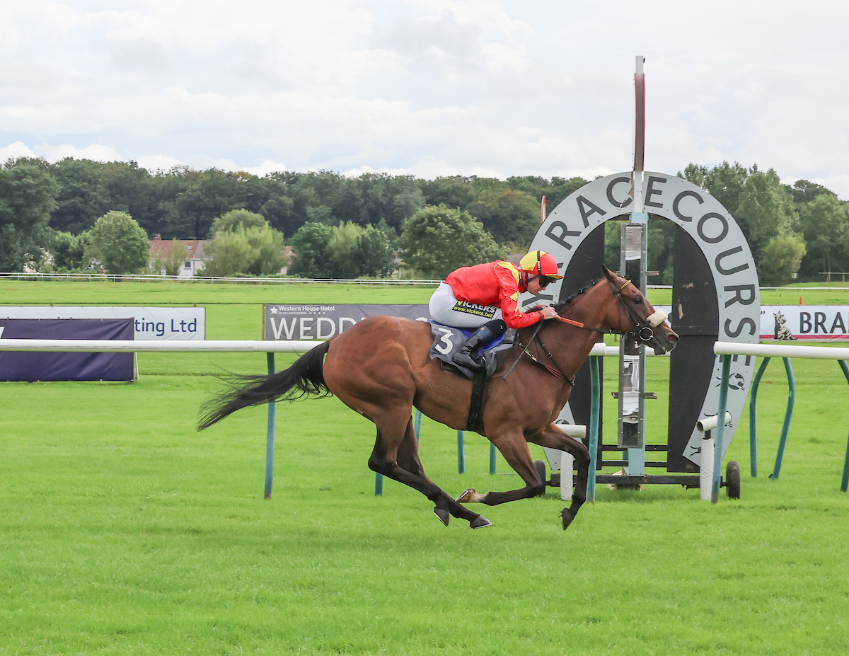 We have six runners on Saturday - two at <a href="/Redcarracing/">Redcar Racecourse</a> and four up at <a href="/ayrracecourse/">Ayr Racecourse</a>. They include Boy Douglas, pictured, who is going for a hat-trick at the Scottish track. Thoughts on them all in our regular Weekend Preview at facebook.com/MichaelDodsRac…