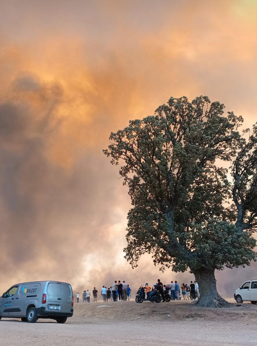 Bir ülke yakılıyor.
Bolu değil, Sakarya değil,
Bilecik değil, İzmir değil,
Karabük değil, Tekirdağ değil,
Bursa değil, Kahramanmaraş değil,
Eskişehir değil, Çanakkale değil,

MEMLEKET YANIYOR, VATAN YANIYOR, ORMAN YANIYOR, CANLAR YANIYOR, CİĞERLERİMİZ YAKILIYOR. #çanakkaleyanıyor