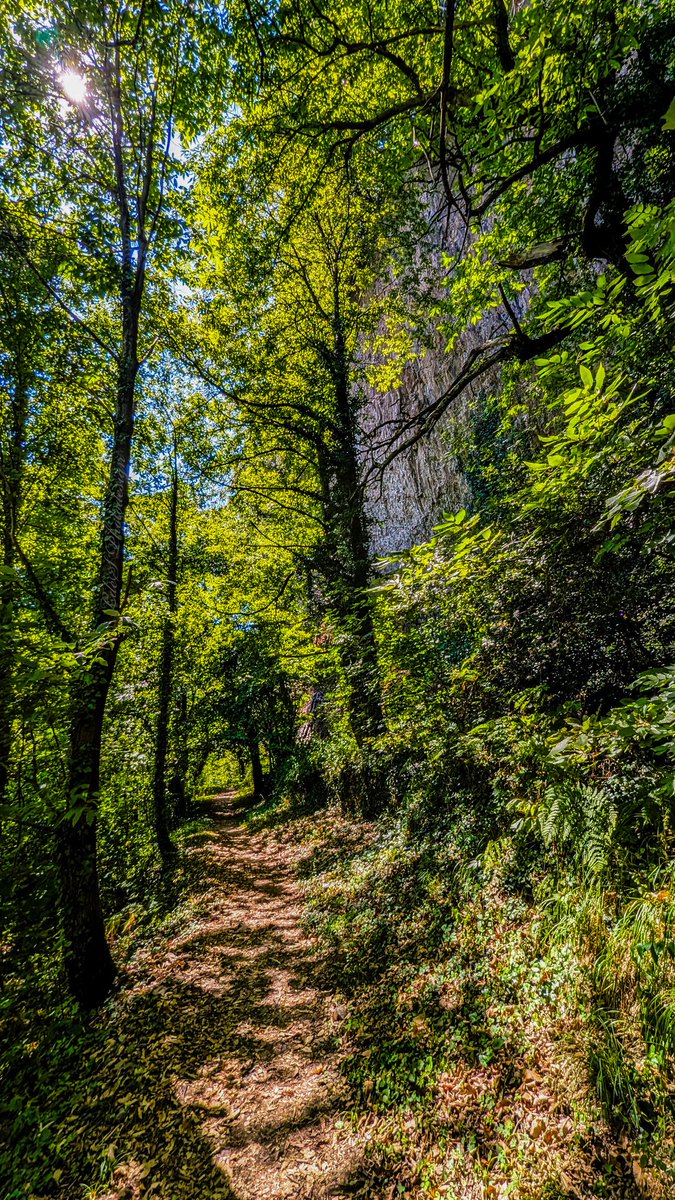 Sunny Afternoon in the Wood...

Jack-in-the-Green, Jethro Tull Album "Songs from the Wood"
youtu.be/9fWzUgrYnqs?si…