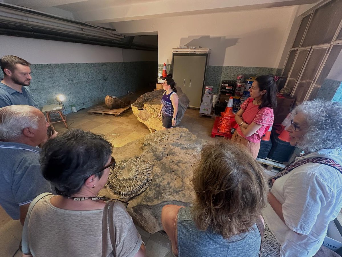 FundaciónDinosaurios (@fdinosaurios) on Twitter photo 40 personas se acercaron a la Plaza de La Compasión para conocer de 1ª mano los trabajos de restauración que está llevando a cabo estos días <a href="/Carrieastur/">Caterine Arias</a> (<a href="/FDinosaurios/">FundaciónDinosaurios</a> y <a href="/MDinosaurios/">Museo de Dinosaurios</a> de Salas), en los trocos fosilizados que aparecieron en el Embalse de Aguilar de Campoo. 🧵 40 personas se acercaron a la Plaza de La Compasión para conocer de 1ª mano los trabajos de restauración que está llevando a cabo estos días <a href="/Carrieastur/">Caterine Arias</a> (<a href="/FDinosaurios/">FundaciónDinosaurios</a> y <a href="/MDinosaurios/">Museo de Dinosaurios</a> de Salas), en los trocos fosilizados que aparecieron en el Embalse de Aguilar de Campoo. 🧵