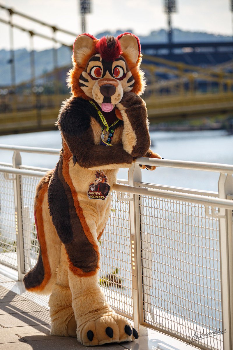 What ya looking at cutie? 

📸 <a href="/AndromedusWolf/">Andromedus</a> #FursuitFriday #furry #weekendvibes