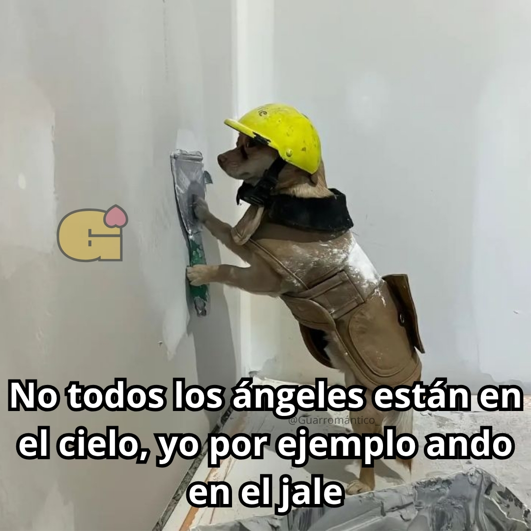 Guarromantico_'s tweet photo. No todos. https://t.co/494QWyqsex