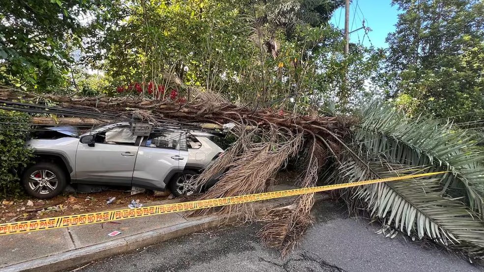 Impresionante choque de lujosa camioneta en la vía que comunica a la Universidad Autónoma de Bucaramanga. "Cuando llegamos al sitio los ocupantes habían dejado abandonado el automóvil", informaron las autoridades #VocesySonidos