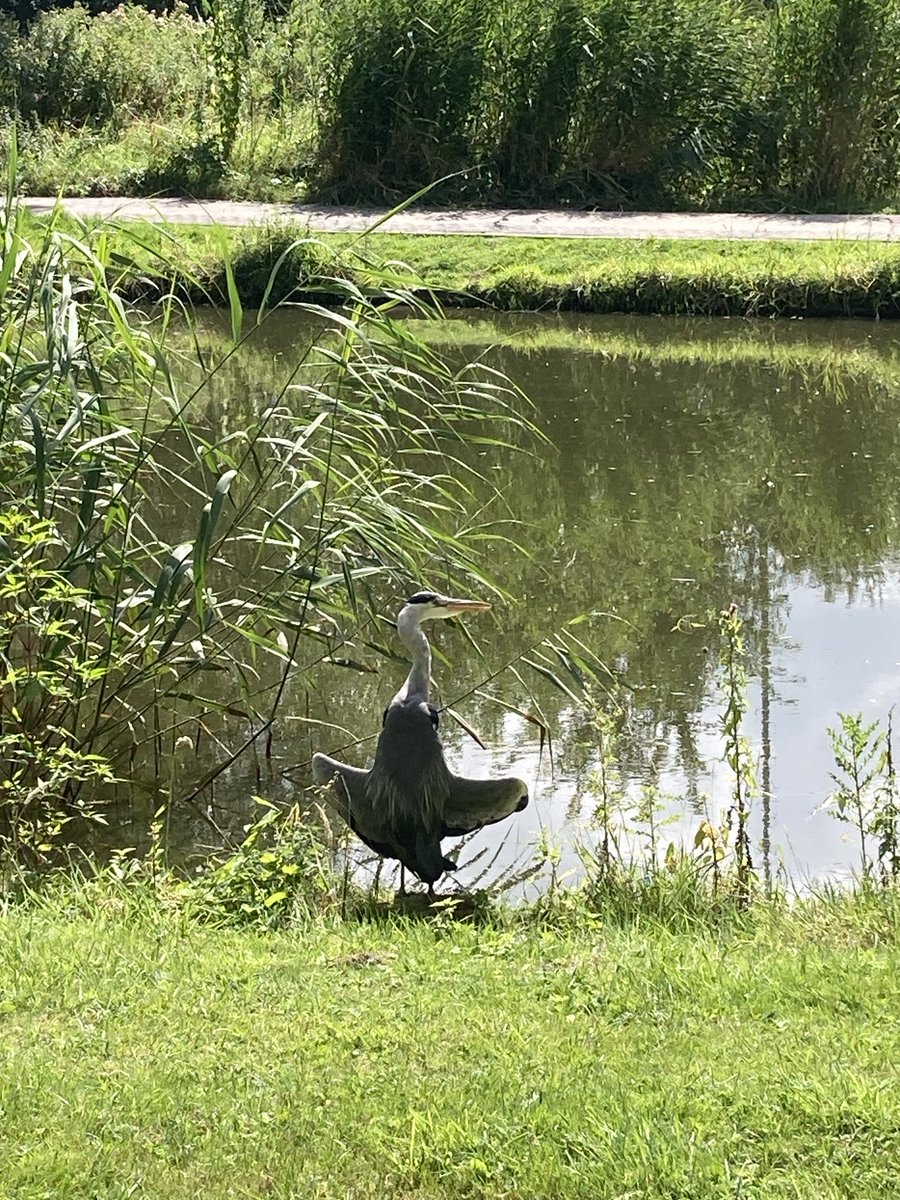 Vanmiddag in het Rosariumpark te Krommenie wordt er genoten van de zon.