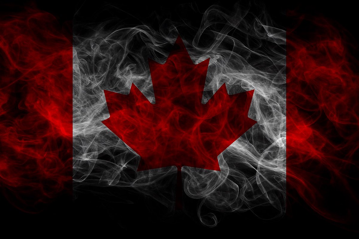 Canadians better hurry up &amp; be our own best customer
The economy is imploding in real time.

Genius strategy:
Send Doug Ford on CNN to tell Trump everyone in 🇨🇦 hates you
Have a PM who hasn’t spoken to Trump in 44 days
Keep an EV mandate that will nuke the auto sector

eLbOwS up