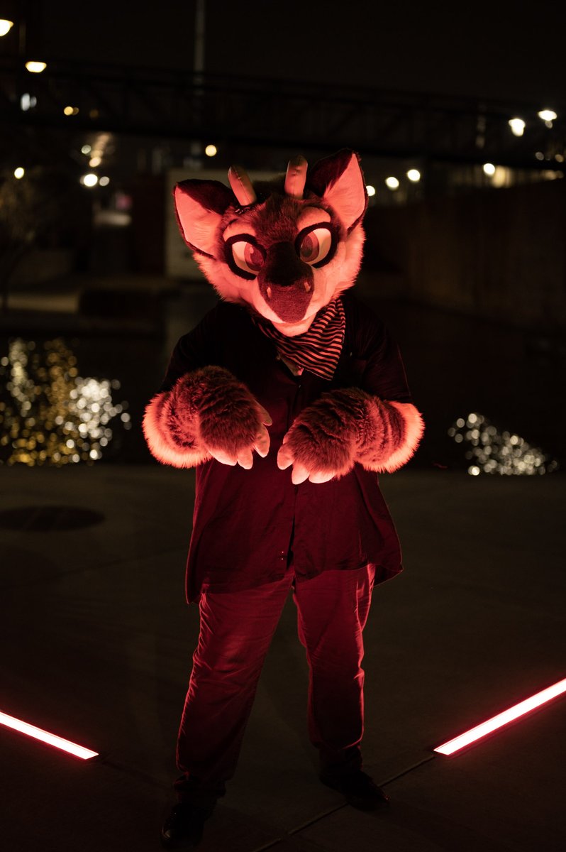Malachi (@hijackthejackal) on Twitter photo 𝕣𝕖𝕕 𝕝𝕚𝕘𝕙𝕥
📸: <a href="/luckyringtail/">Lucky Ringtail</a> 
#FursuitFriday 𝕣𝕖𝕕 𝕝𝕚𝕘𝕙𝕥
📸: <a href="/luckyringtail/">Lucky Ringtail</a> 
#FursuitFriday