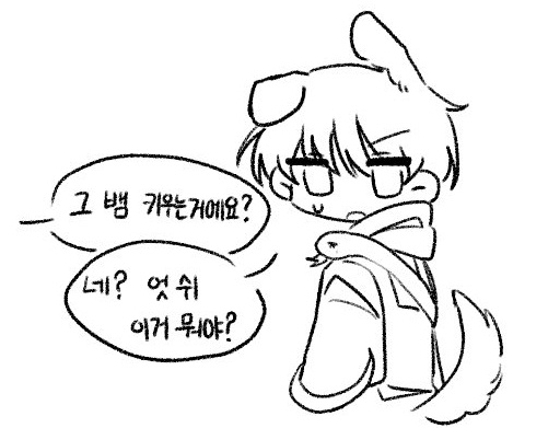 뱃 tweet media