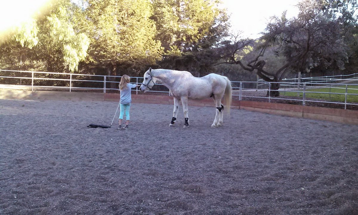 Elise Moss tweet media