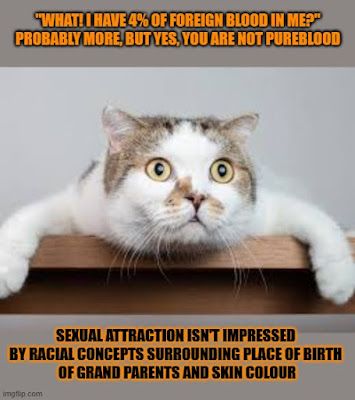 Goed nieuws en kattenlog buff.ly/eG3M8VC