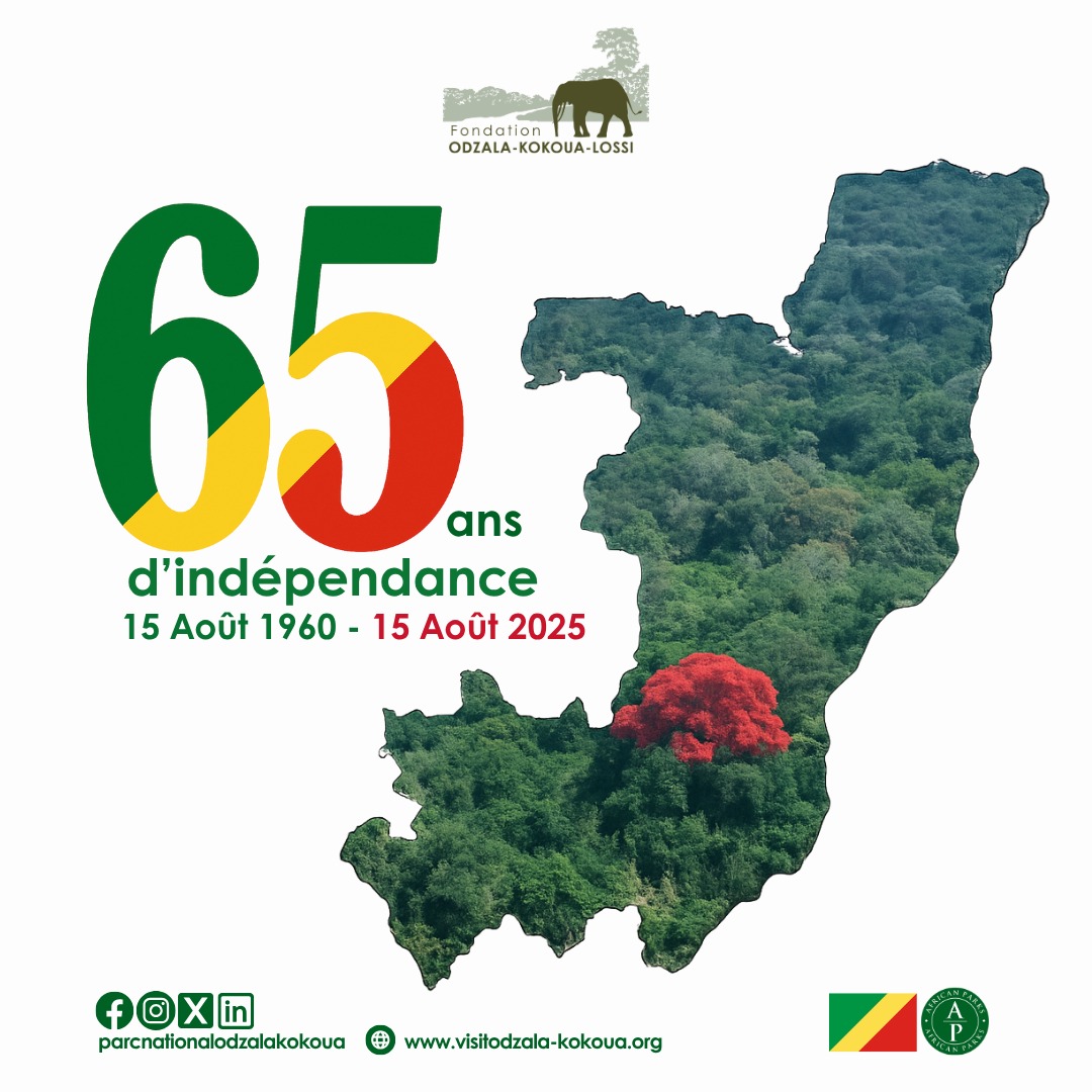 🌿 Nous œuvrons chaque jour pour la conservation de la nature, la protection de la faune sauvage, et le développement durable des communautés locales.
Bonne fête de l’indépendance à tous les Congolais !
#FêteNationale #RépubliqueDuCongo 
#odzalakokoua #Conservation #Indépendance