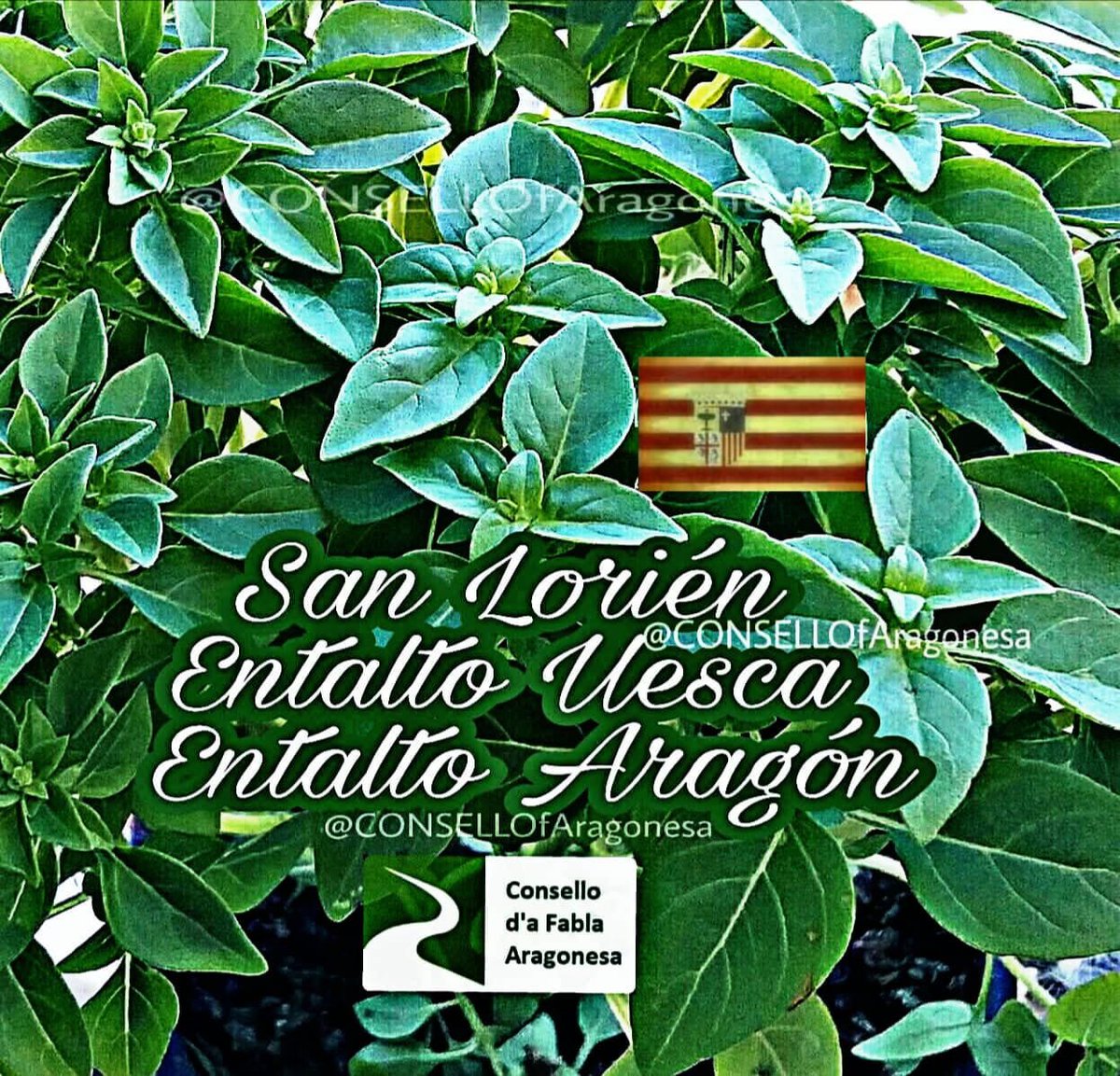 San Lorién. Uesca; d'o 9 á o 15 d'agosto.
fiestassanlorenzo.es/programa/progr…