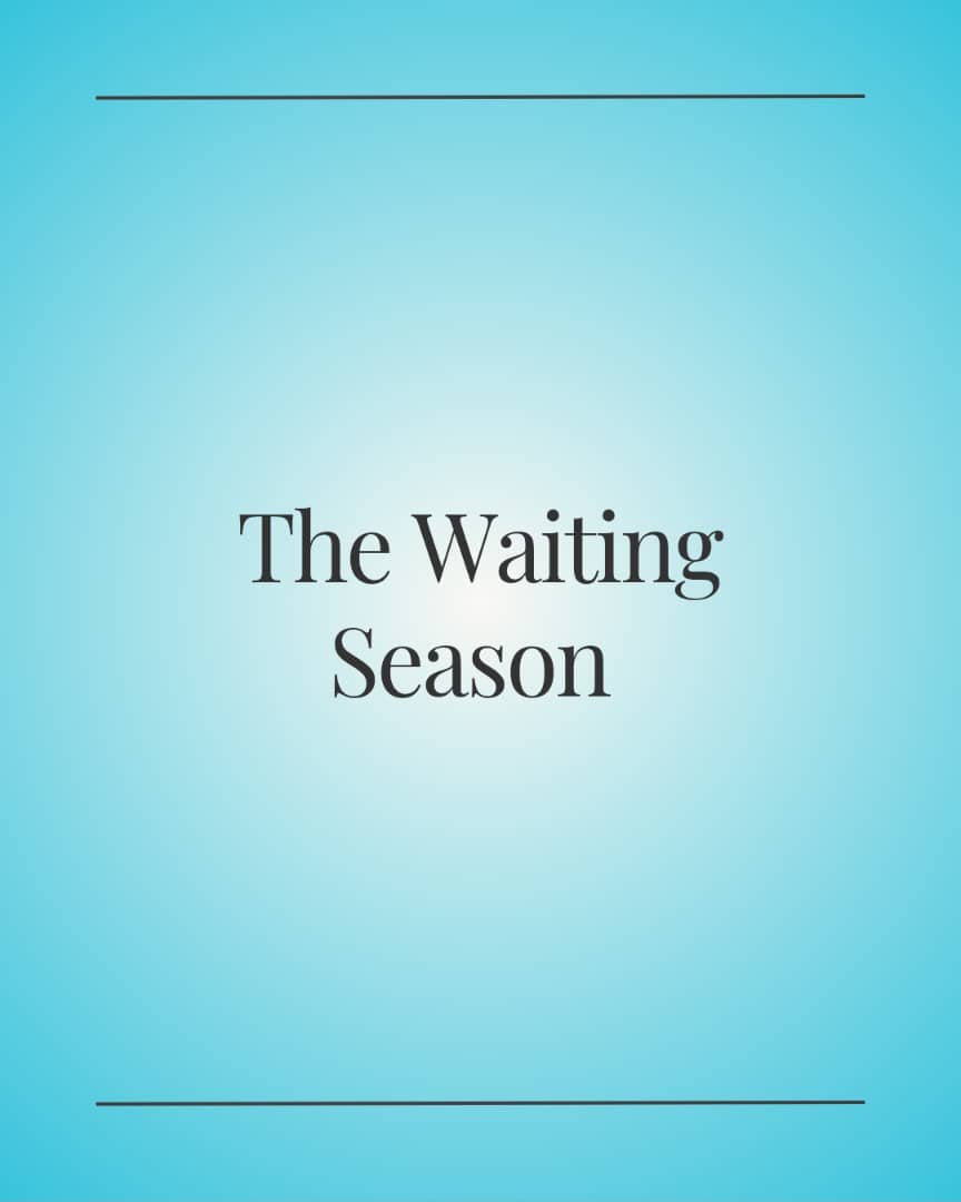 diaryofaconver's tweet photo. The Waiting Season https://t.co/dzx5tyS2g8