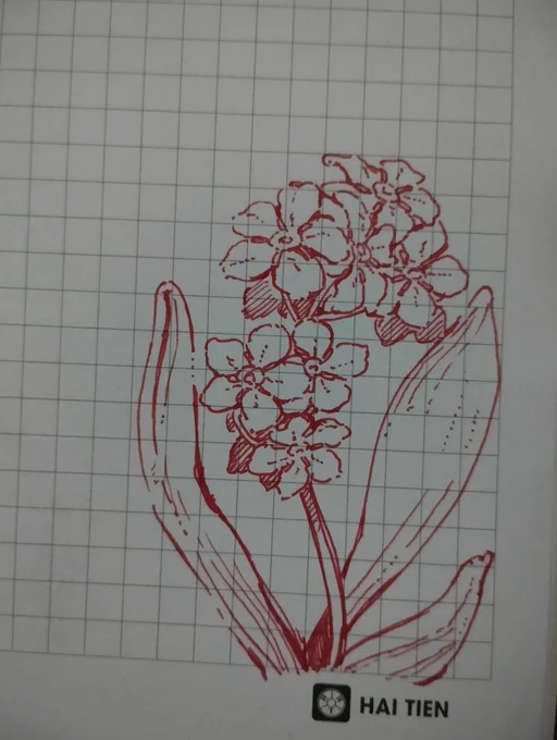 Flowi