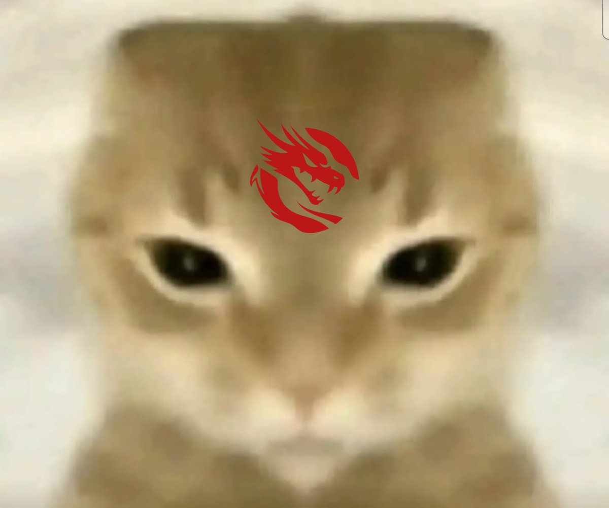 RAAX_ESPORTS's tweet photo. Este michi le va a
RAAAAAX eSports 🐉

Raax es la luzzz 🥹✨️ https://t.co/CnH7uKSwt9