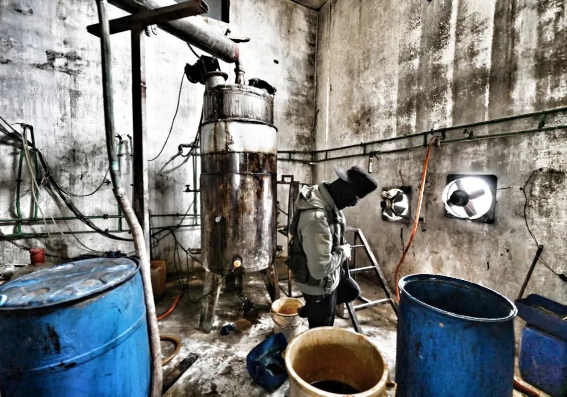 Caroline Rose tweet media