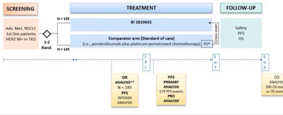 Oncology Brothers tweet media