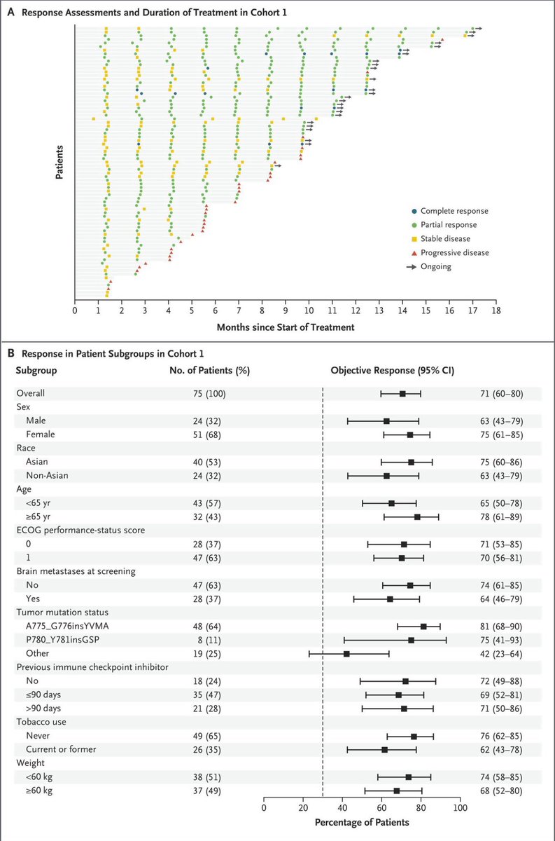 Oncology Brothers tweet media