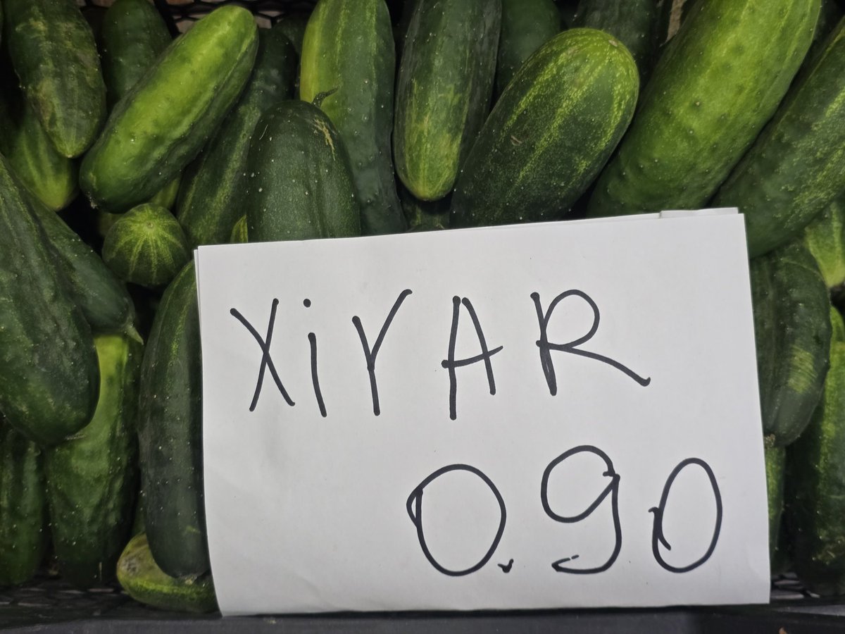 Kendini yıldız sanan sokak lambası hıyar burda 90 Kurus