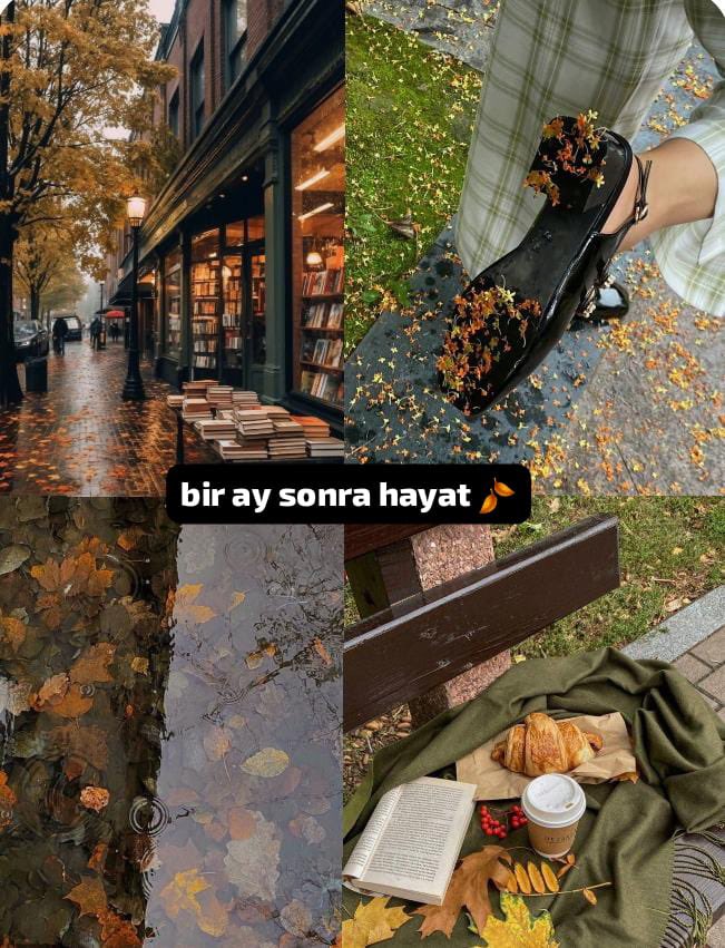 Benim yaşama dilim bu