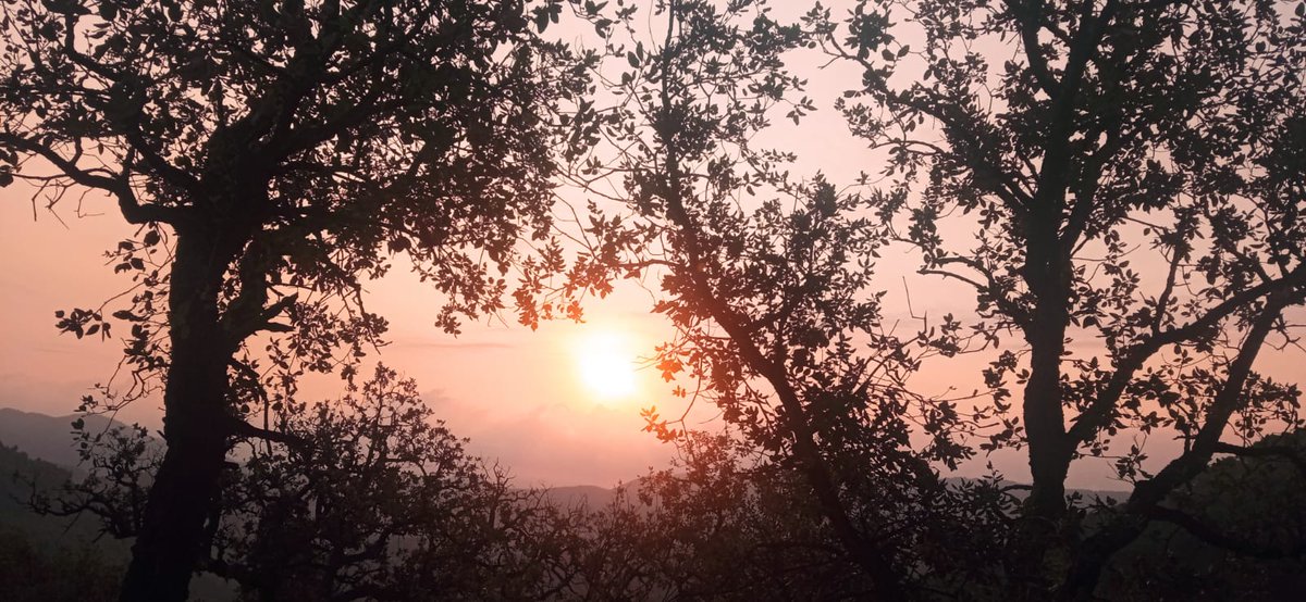 L'Alt de la Costera desde Artana #Eslida <a href="/javix/">Javi López</a> <a href="/espadaniques/">Espadànics escaldats🦎</a> <a href="/Basseta/">Basseta</a> <a href="/javierromerota3/">Naturaleza es vida 🌲🦇 1919💯🍁🎄🎅</a> <a href="/JrvLionel/">JuanRa Varelles🍊</a> <a href="/JuanJCarrasco/">JJCarrasco 🍀 👣</a> <a href="/Haarp_project/">Haarp_project</a> <a href="/MuntanyaV/">Muntanya Valenciana</a> <a href="/PaisRutes/">Rutes del País Valencià</a>