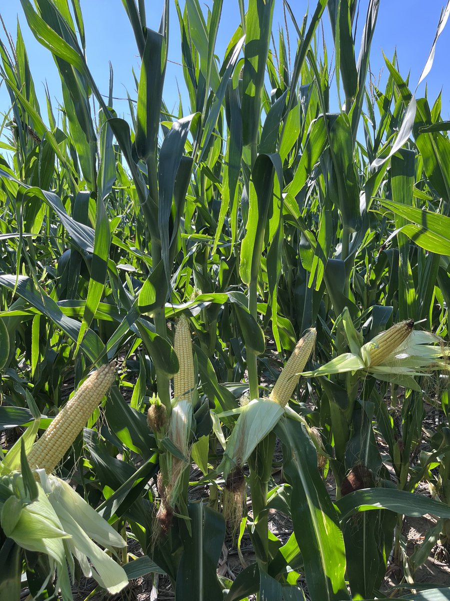 Just about due for another inch or two of rain.