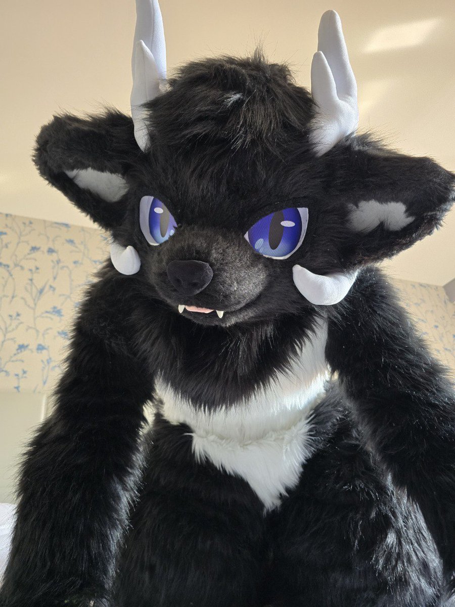 Ready to pounce &gt;:3
📸: <a href="/FoxoKrik/">Krikol 🦌</a> 💙
✂️: <a href="/DuDusweet999/">Copper777</a> 

#FursuitFriday #fursuit
