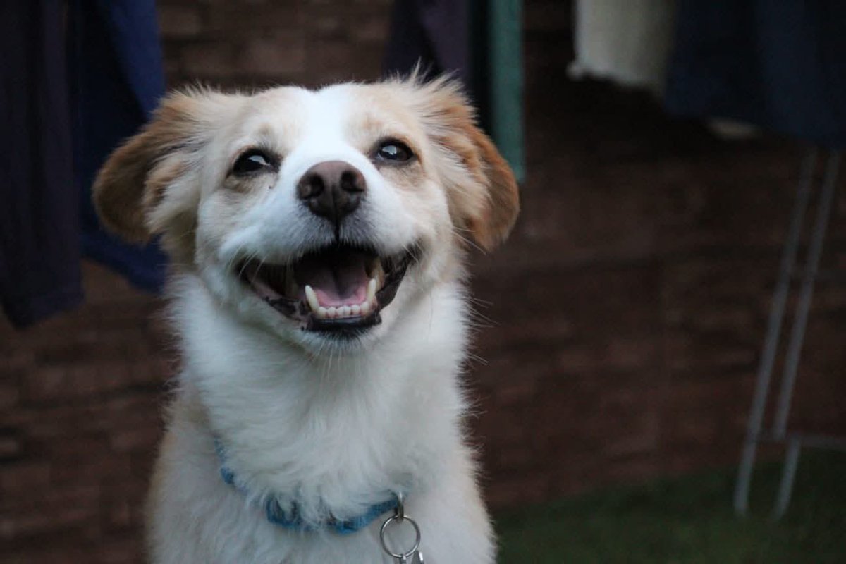 ErSeFiRoX | Actualidad, noticias y análisis 🕹 tweet media