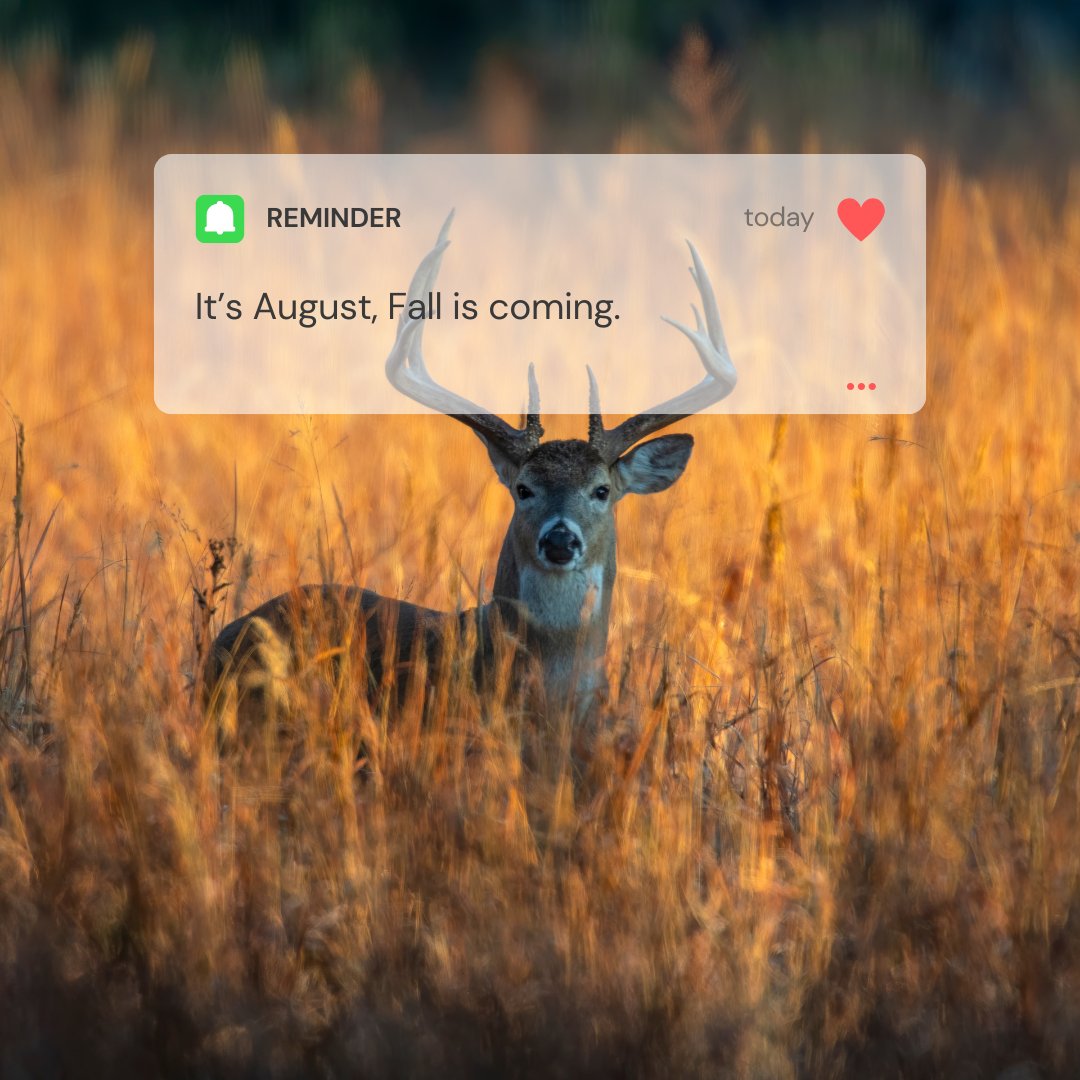 Archery Country tweet media