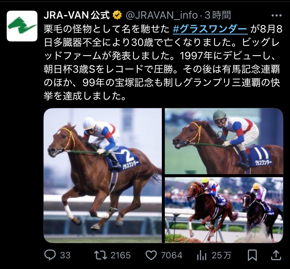 1999年　有馬記念　グラスワンダー　レプリカゼッケン 1999年 有馬記念 グラスワンダー レプリカゼッケン default.jpg